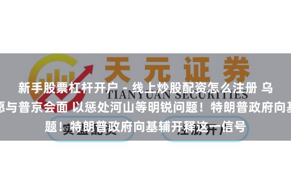新手股票杠杆开户 - 线上炒股配资怎么注册 乌外长：泽连斯基愿与普京会面 以惩处河山等明锐问题！特朗普政府向基辅开释这一信号