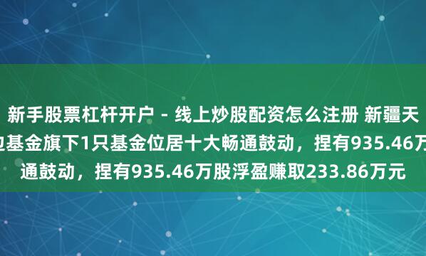 新手股票杠杆开户 - 线上炒股配资怎么注册 新疆天业股价涨5.03%，南边基金旗下1只基金位居十大畅通鼓动，捏有935.46万股浮盈赚取233.86万元