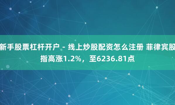 新手股票杠杆开户 - 线上炒股配资怎么注册 菲律宾股指高涨1.2%，至6236.81点