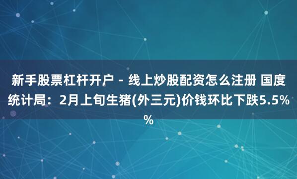 新手股票杠杆开户 - 线上炒股配资怎么注册 国度统计局：2月上旬生猪(外三元)价钱环比下跌5.5%
