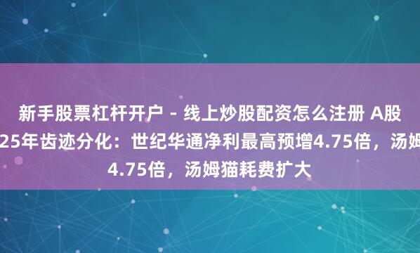新手股票杠杆开户 - 线上炒股配资怎么注册 A股游戏公司2025年齿迹分化：世纪华通净利最高预增4.75倍，汤姆猫耗费扩大