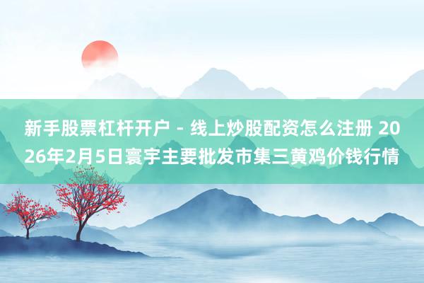 新手股票杠杆开户 - 线上炒股配资怎么注册 2026年2月5日寰宇主要批发市集三黄鸡价钱行情