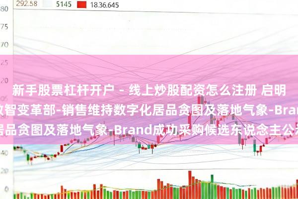 新手股票杠杆开户 - 线上炒股配资怎么注册 启明信息中标：2026奥迪数智变革部-销售维持数字化居品贪图及落地气象-Brand成功采购候选东说念主公示