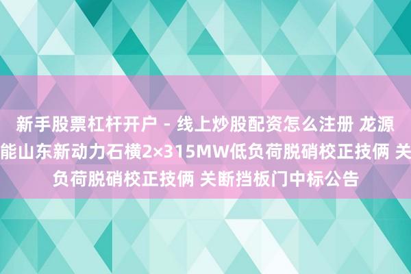 新手股票杠杆开户 - 线上炒股配资怎么注册 龙源时候招标恶果：国能山东新动力石横2×315MW低负荷脱硝校正技俩 关断挡板门中标公告