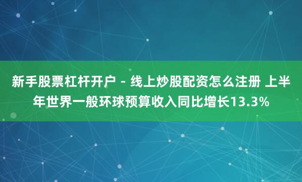 新手股票杠杆开户 - 线上炒股配资怎么注册 上半年世界一般环球预算收入同比增长13.3%