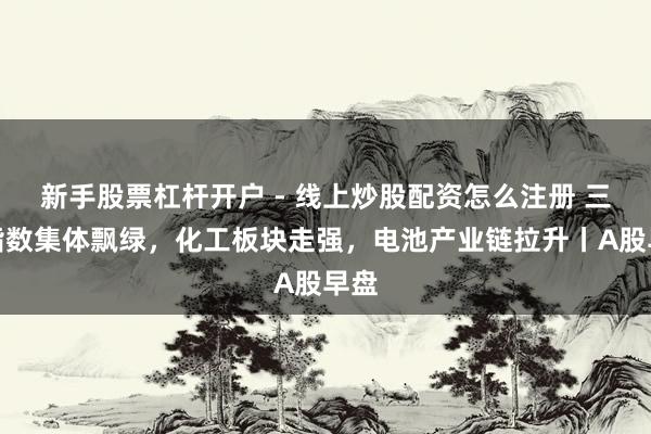 新手股票杠杆开户 - 线上炒股配资怎么注册 三大指数集体飘绿，化工板块走强，电池产业链拉升丨A股早盘